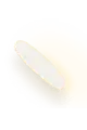 Arroz
